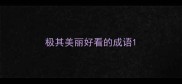 极其美丽好看的成语