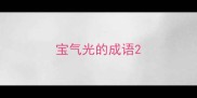 宝气光的成语