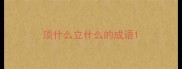 顶什么立什么的成语