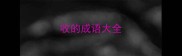 收的成语大全