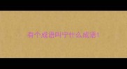有个成语叫宁什么成语