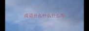 成语什么什么什么夺