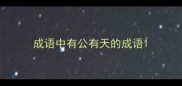成语中有公有天的成语