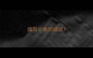 描写小偷的成语