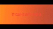 花结尾成语四字成语
