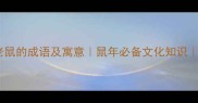 20个描写老鼠的成语及寓意鼠年必备文化知识成语大全