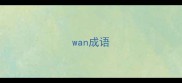 wan成语