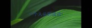 一个人头的成语