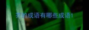 芥的成语有哪些成语