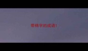 带棉字的成语