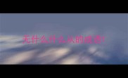 无什么什么从的成语