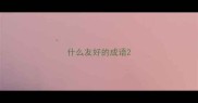 什么友好的成语