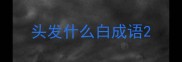 头发什么白成语
