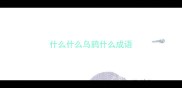 什么什么乌鸦什么成语