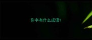 你字有什么成语
