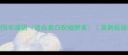 形容女孩的四字成语适合表白祝福赞美美到极致的赞美方式