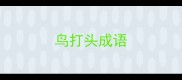鸟打头成语