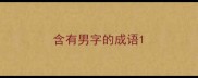 含有男字的成语