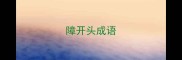 障开头成语