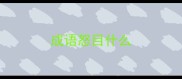 成语怒目什么