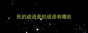 死的成语是的成语有哪些