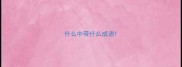 什么中带什么成语