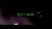虎打个成语