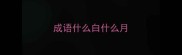 成语什么白什么月