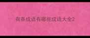 有条成语有哪些成语大全