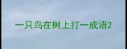 一只鸟在树上打一成语