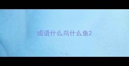 成语什么鸟什么鱼