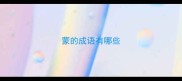 蒙的成语有哪些