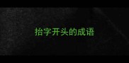 抬字开头的成语