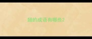 翅的成语有哪些