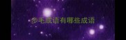 步毛成语有哪些成语