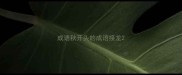 成语秋开头的成语接龙