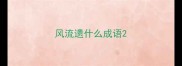 风流遗什么成语