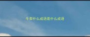 牛有什么成语是什么成语