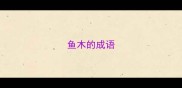 鱼木的成语