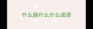 什么肠什么什么成语