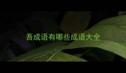 吾成语有哪些成语大全