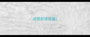 成语的读后感