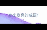 发光发亮的成语