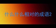 什么什么相对的成语