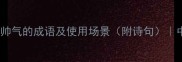 20个形容帅气的成语及使用场景附诗句中文之美
