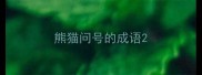 熊猫问号的成语