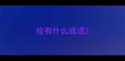 捡有什么成语