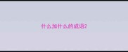 什么加什么的成语