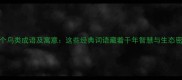100个鸟类成语及寓意这些经典词语藏着千年智慧与生态密码