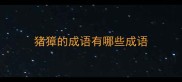 猪獐的成语有哪些成语